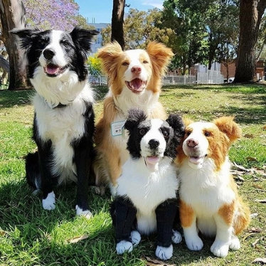 personalized dog stuffed animals