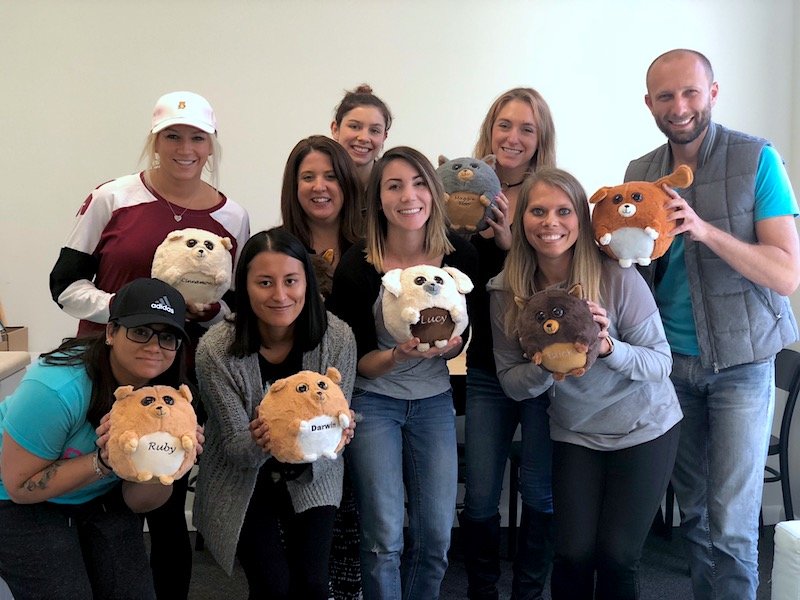 waggables team 