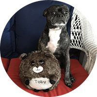 brindle dog with waggables plush