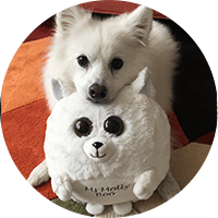 white dog with waggables plush